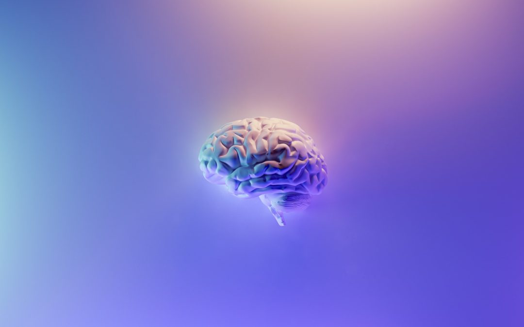 NLP Communicatiemodel, hoe werkt je brein?